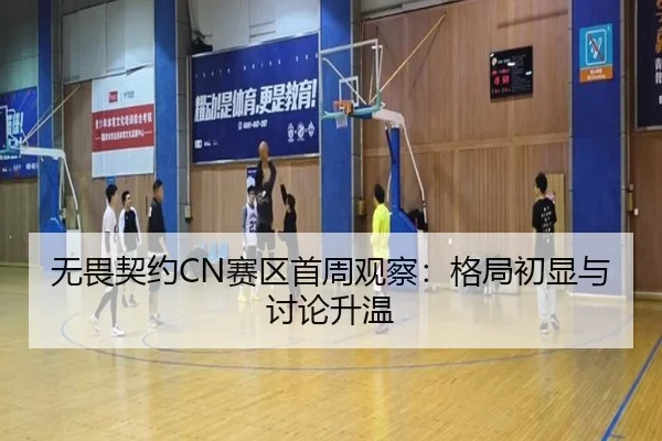 无畏契约CN赛区首周观察：格局初显与讨论升温